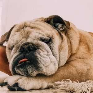 Meet your Posher, Skyler